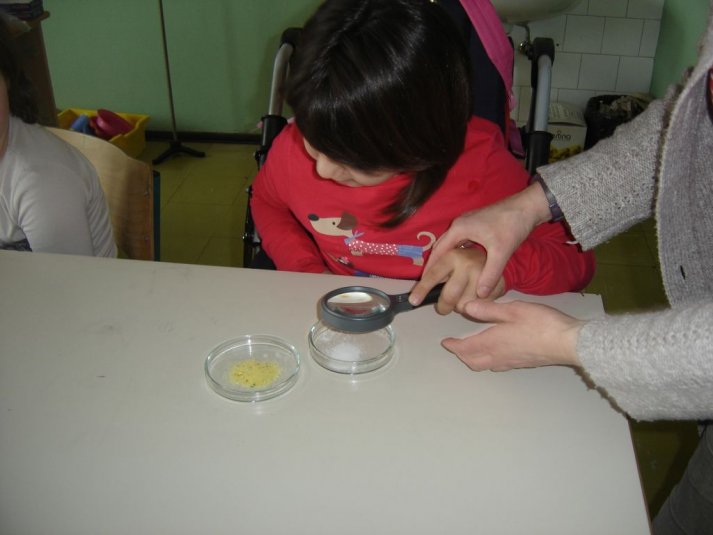 Medpredmetno sodelovanje - snovi