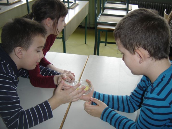 Medpredmetno sodelovanje - snovi