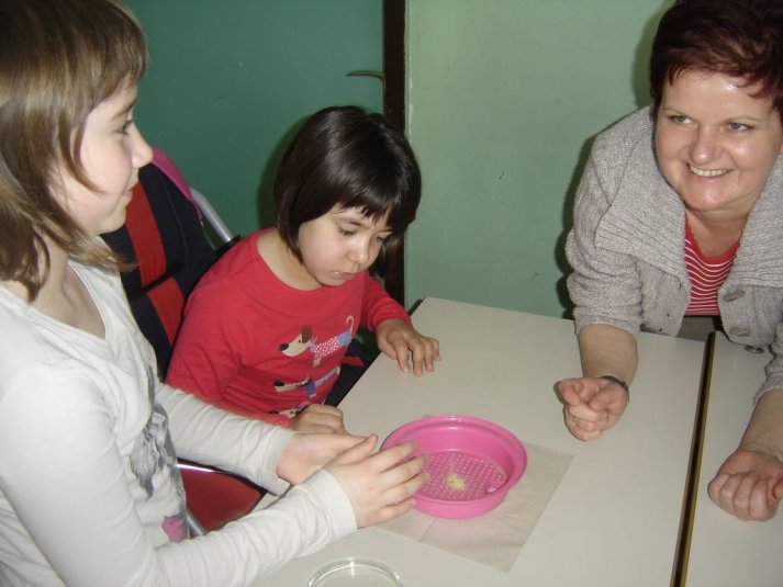 Medpredmetno sodelovanje - snovi