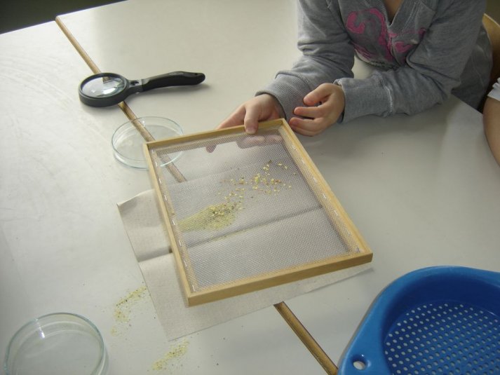 Medpredmetno sodelovanje - snovi