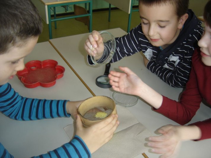 Medpredmetno sodelovanje - snovi