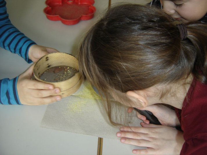 Medpredmetno sodelovanje - snovi