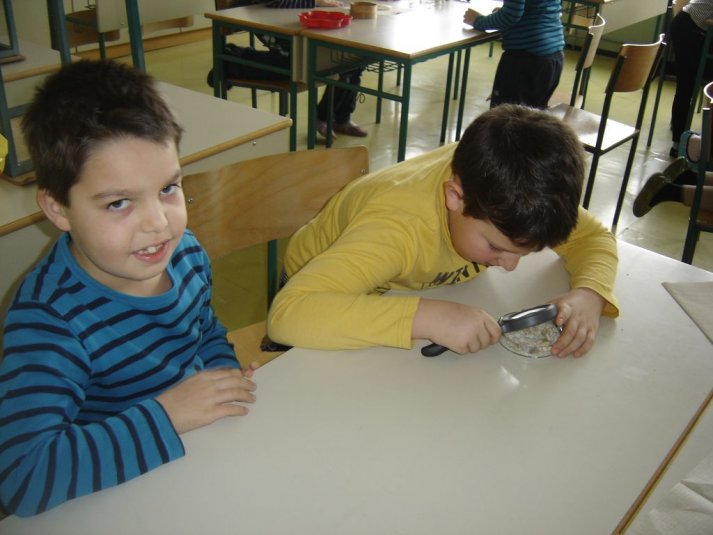 Medpredmetno sodelovanje - snovi