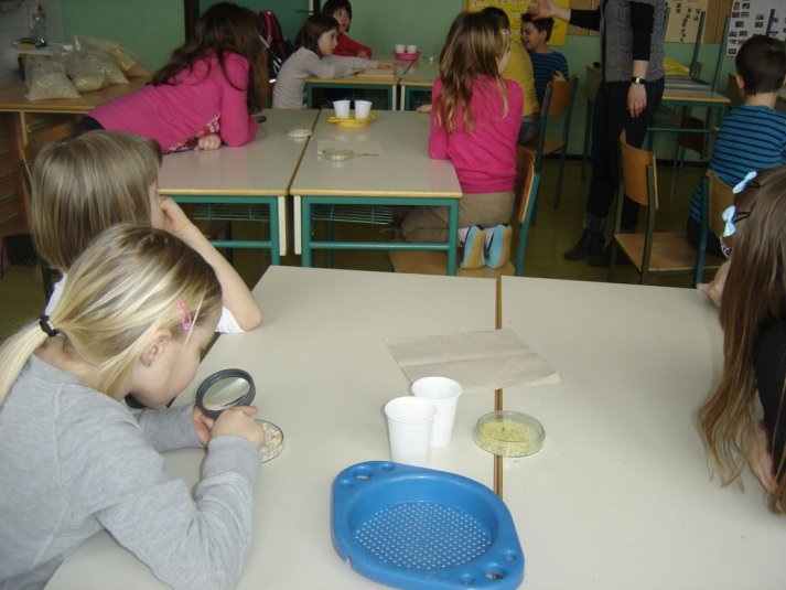 Medpredmetno sodelovanje - snovi