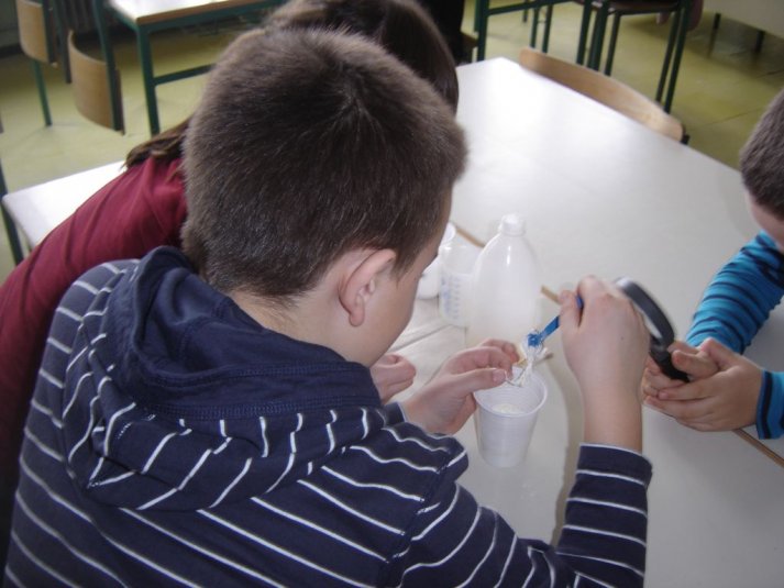 Medpredmetno sodelovanje - snovi