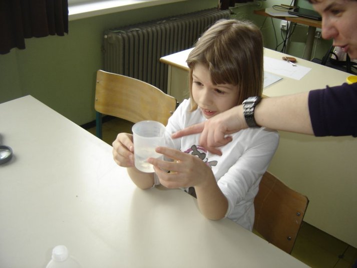 Medpredmetno sodelovanje - snovi