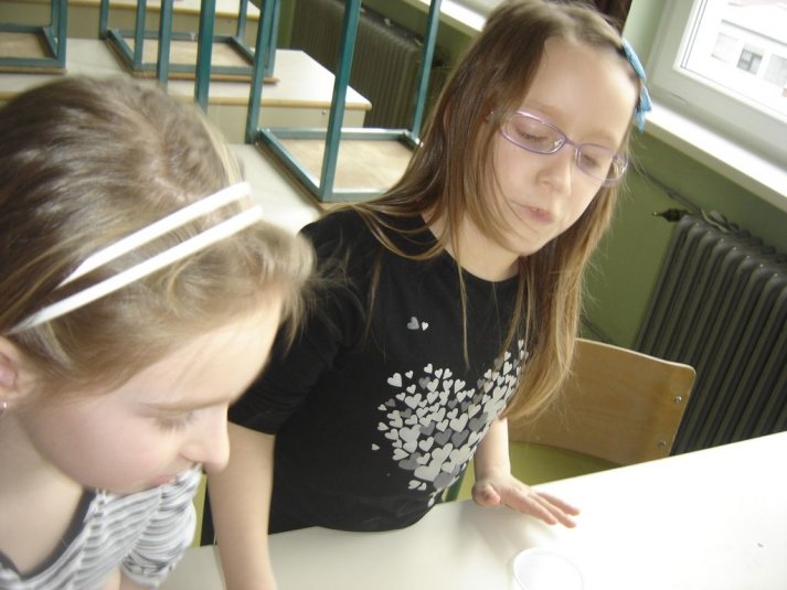 Medpredmetno sodelovanje - snovi