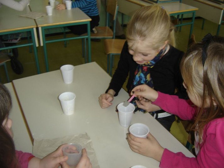 Medpredmetno sodelovanje - snovi