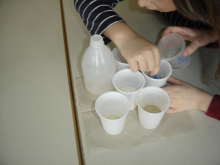 Medpredmetno sodelovanje - snovi