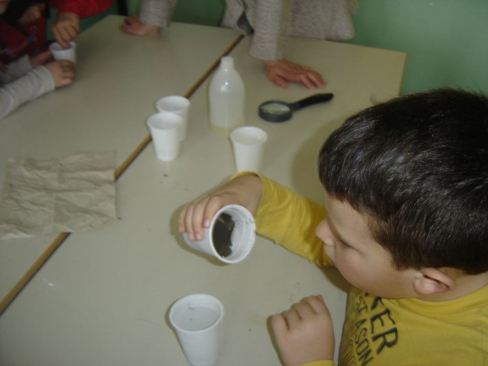 Medpredmetno sodelovanje - snovi