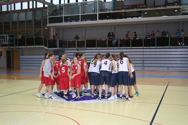 Področno prvenstvo v košarki