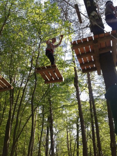 V pustolovskem parku