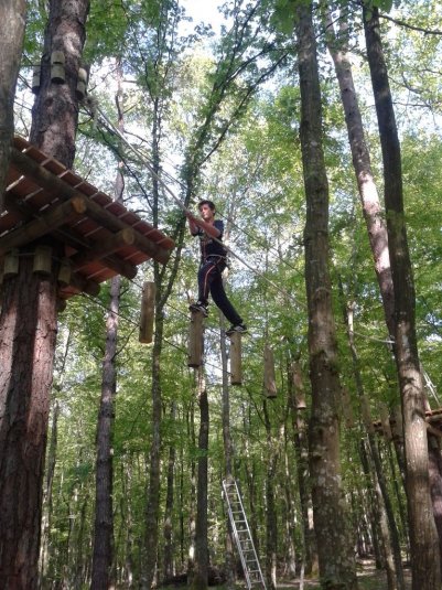 V pustolovskem parku