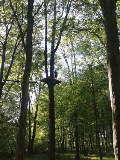 V pustolovskem parku