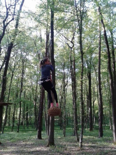 V pustolovskem parku