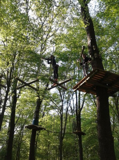 V pustolovskem parku