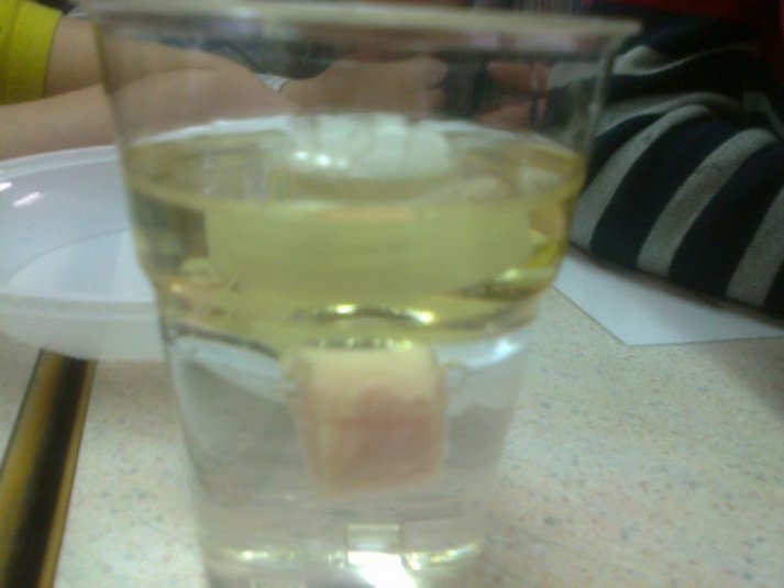 Poskusi z vodo v podaljšanem bivanju