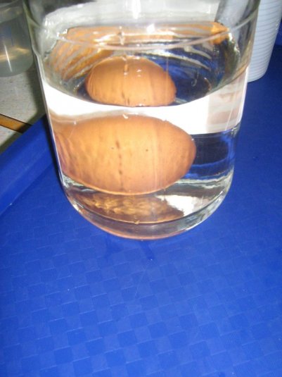 Poskusi z vodo v podaljšanem bivanju