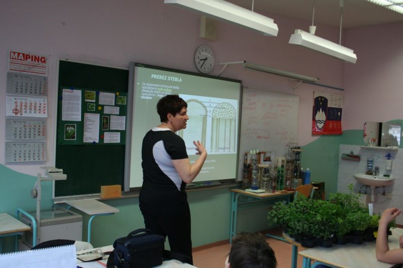 Šolski zeliščni vrt