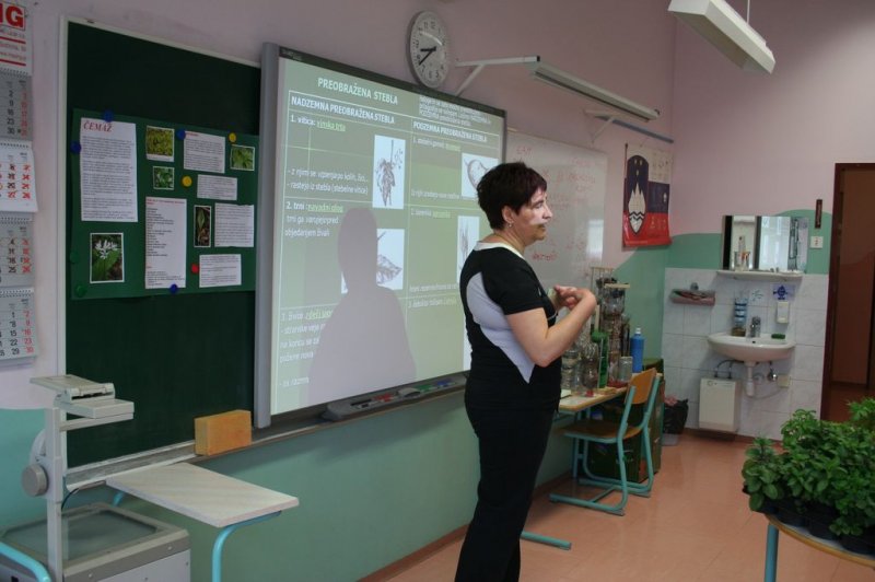 Šolski zeliščni vrt