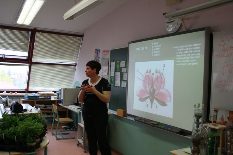 Šolski zeliščni vrt