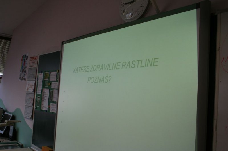 Šolski zeliščni vrt