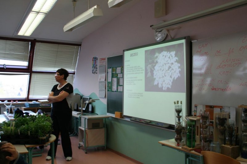 Šolski zeliščni vrt