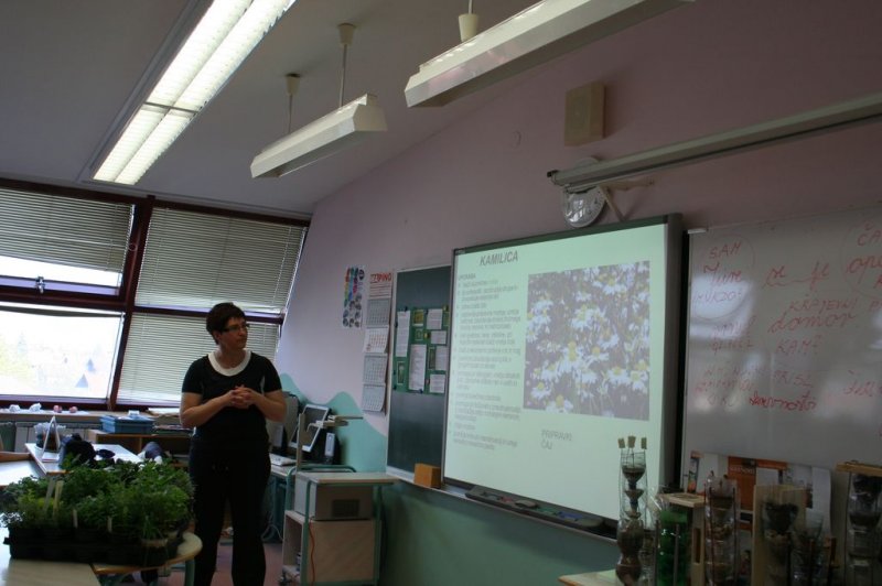 Šolski zeliščni vrt