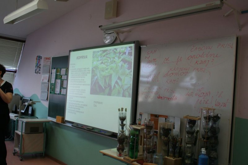 Šolski zeliščni vrt