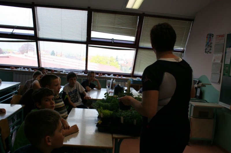 Šolski zeliščni vrt