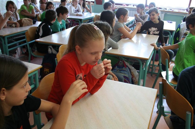 Šolski zeliščni vrt