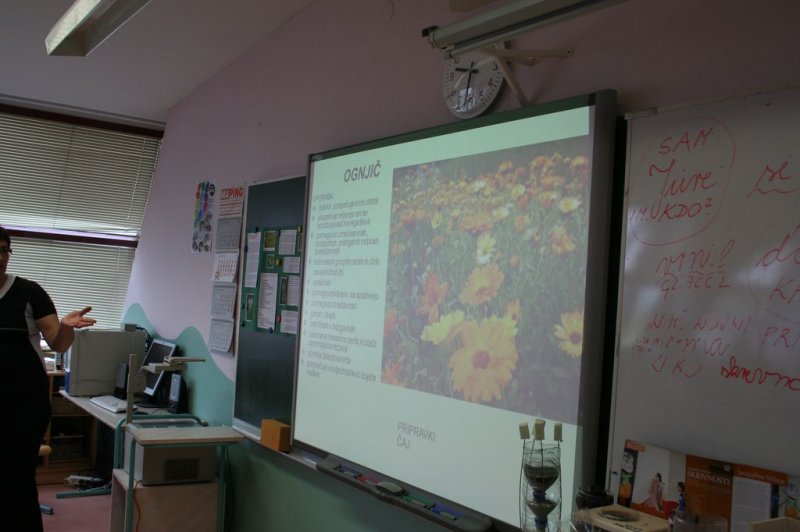 Šolski zeliščni vrt