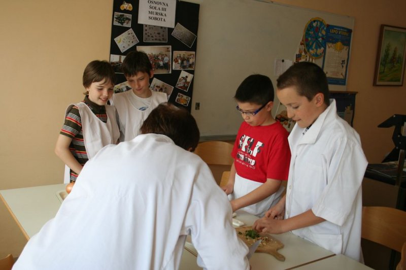 Šolski zeliščni vrt