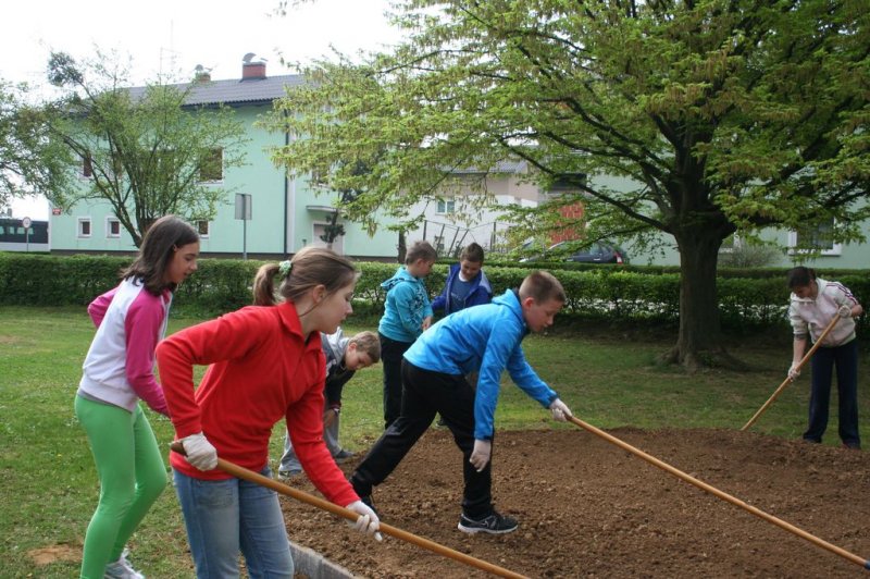 Šolski zeliščni vrt