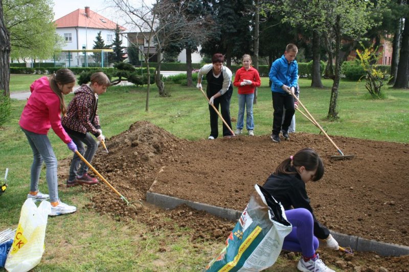 Šolski zeliščni vrt