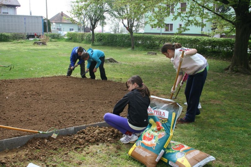 Šolski zeliščni vrt