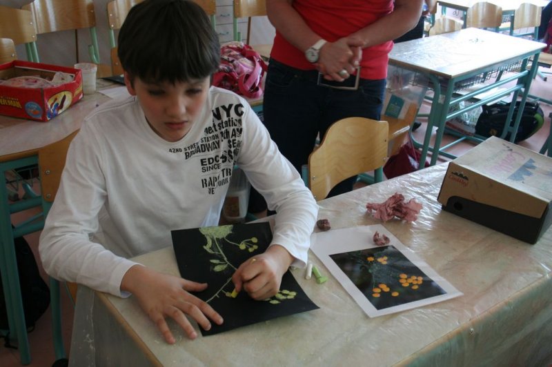 Šolski zeliščni vrt