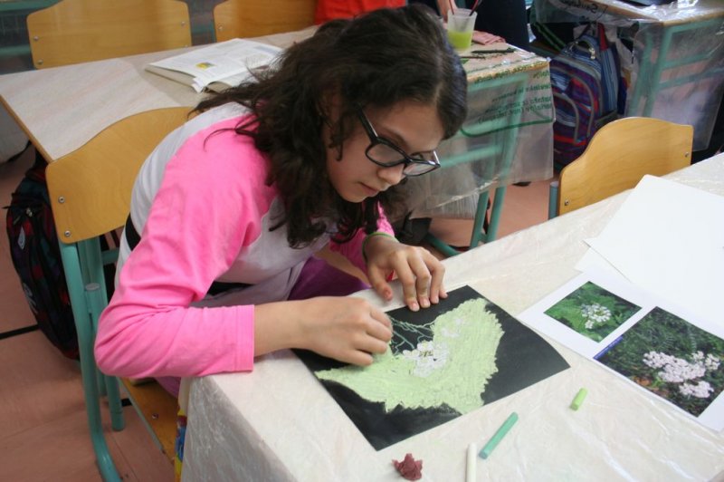 Šolski zeliščni vrt