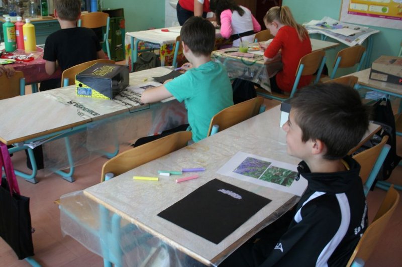 Šolski zeliščni vrt