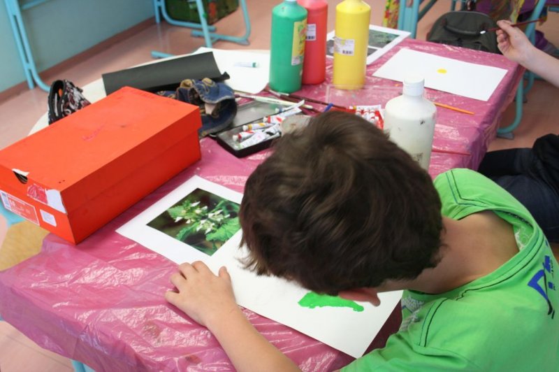 Šolski zeliščni vrt