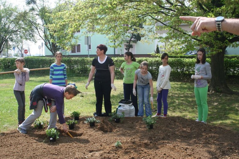 Šolski zeliščni vrt