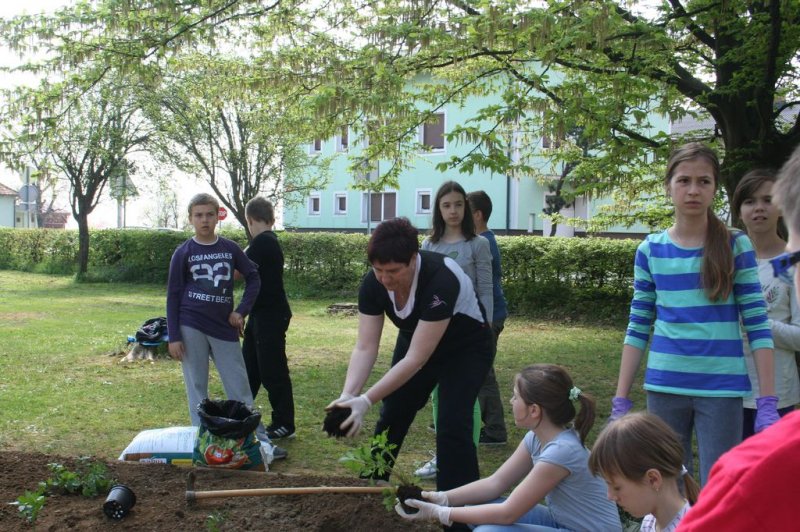 Šolski zeliščni vrt