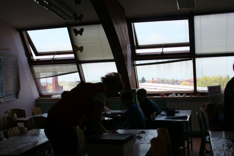 Šolski zeliščni vrt