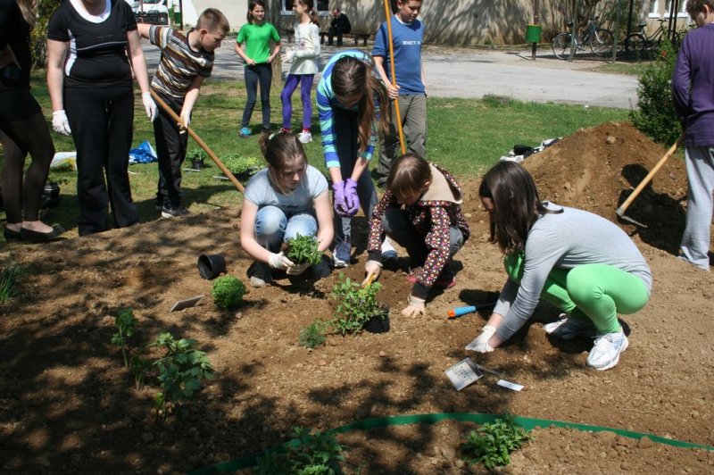 Šolski zeliščni vrt