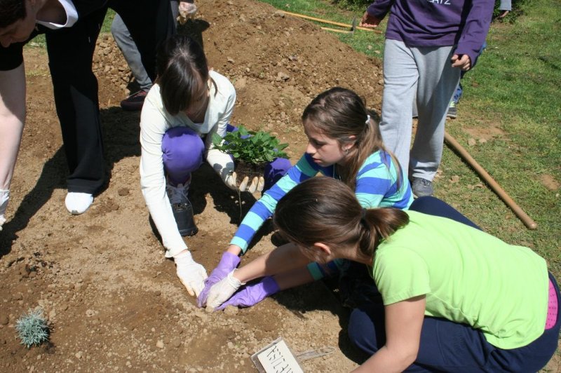 Šolski zeliščni vrt