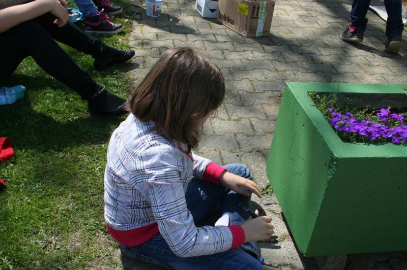 Šolski zeliščni vrt