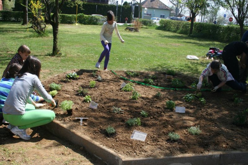 Šolski zeliščni vrt