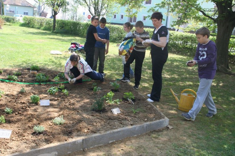 Šolski zeliščni vrt