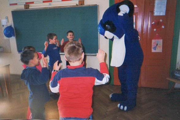 ples z modrim medvedkom