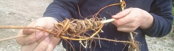 JoomlaWorks Simple Image Rotator